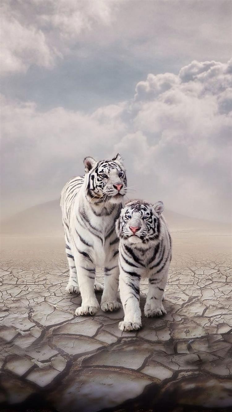 Drought Sandy Clouds White Tiger Cp iPhone 8 Wallpapers Free Download