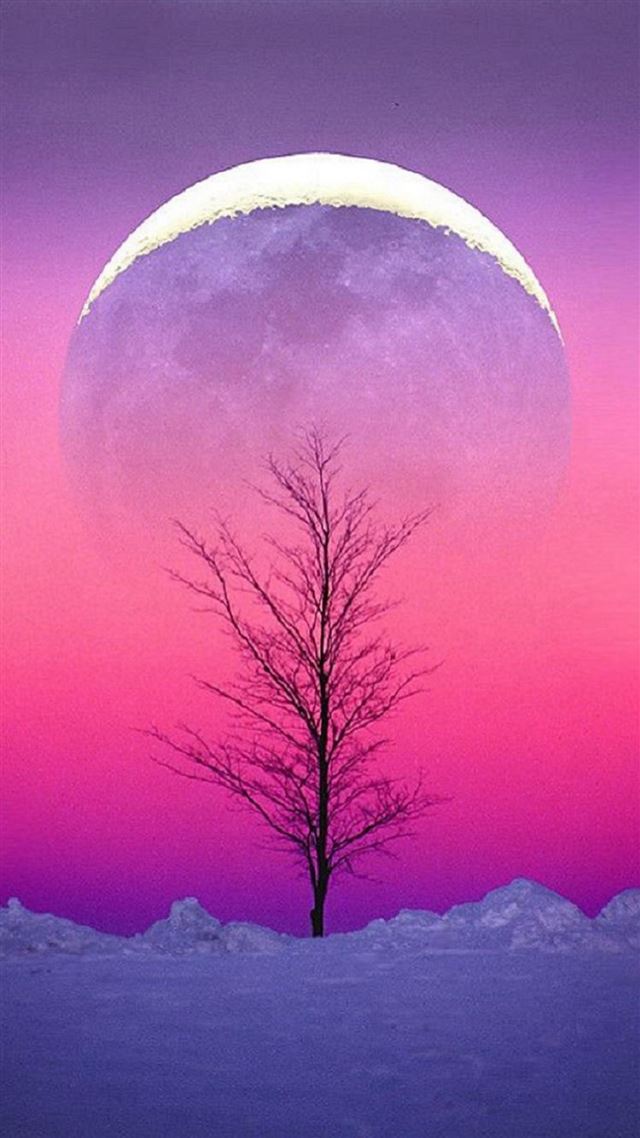 1080x1920 Pure Aesthetic Cold Sky View - purple iPhone 8 Wallpaper