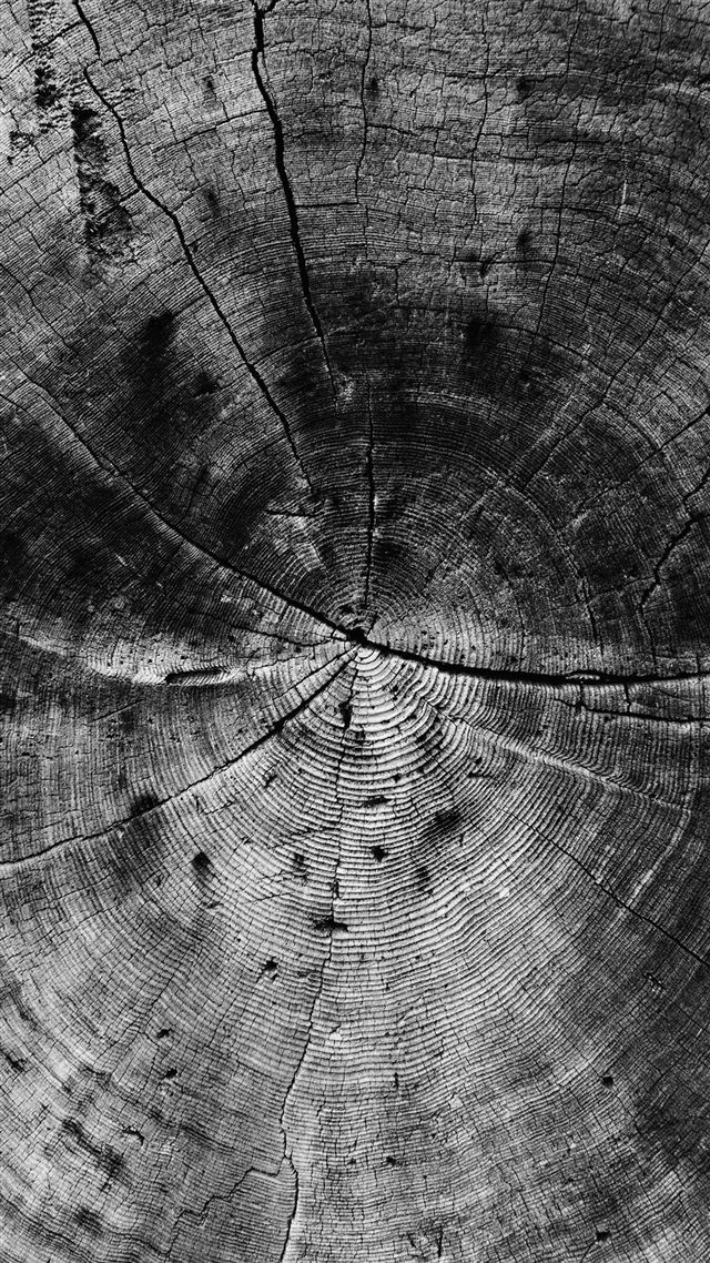 1080x1920 Wood Line Texture Old Dark Pattern Bw - brown iPhone 8 Wallpaper