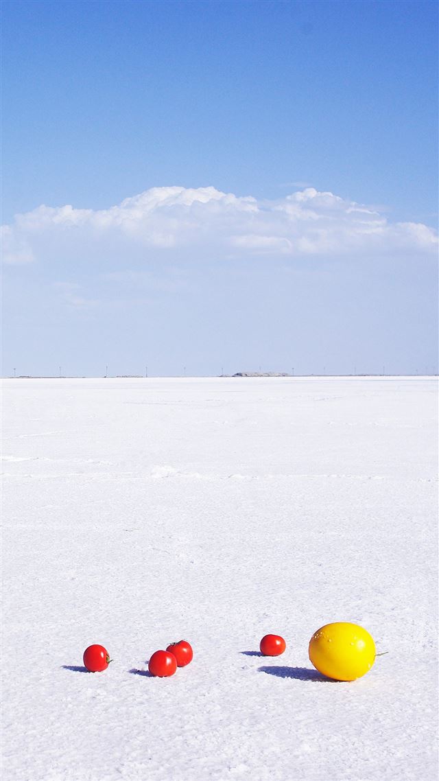 1080x1920 Nature Sunny Fruit Pure Beach Landscape - shadow iPhone 8 Wallpaper
