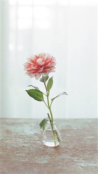 Nature Pure Elegant Flower Vase Indoors Curtains Decorations wallpaper