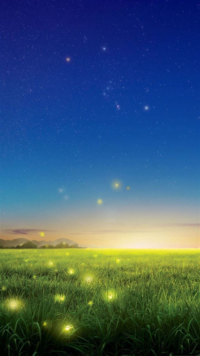 1080x1920 Wonder Night Glowworm Flying Lawn Field - flying iPhone 8 Wallpaper