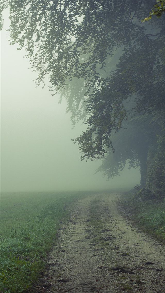 1080x1920 Country Misty Roads - misty iPhone 8 Wallpaper