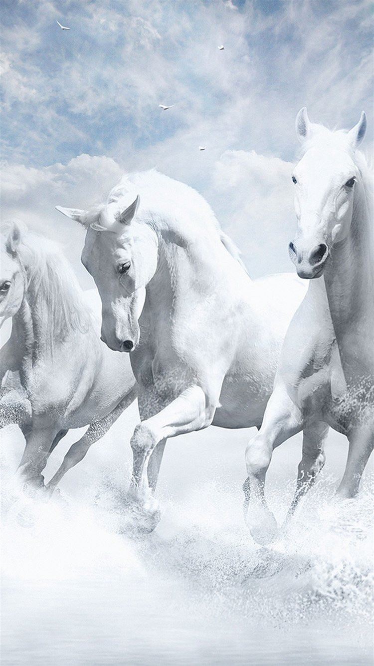 Best Horse iPhone 8 HD Wallpapers - iLikeWallpaper