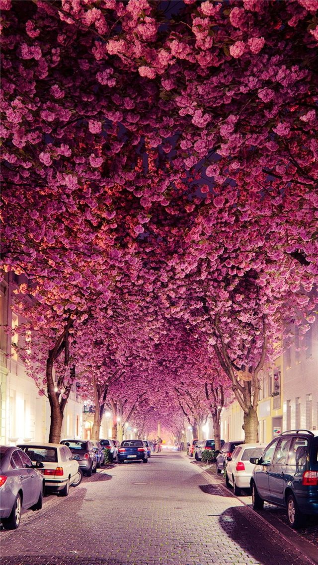750x1334 Flowers Branch Grove Car Parking Road - road iPhone 8 Wallpaper