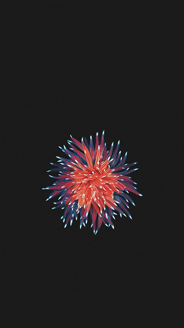750x1334 Shiny Little Flower In Dark - shiny iPhone 8 Wallpaper
