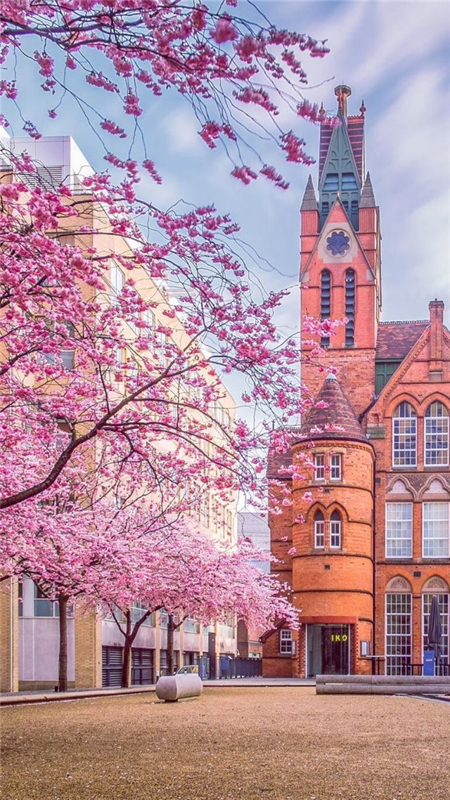 750x1334 Nature City View - branch iPhone 8 Wallpaper