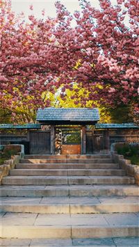 Log Cabin Door Nature Flower Branch wallpaper