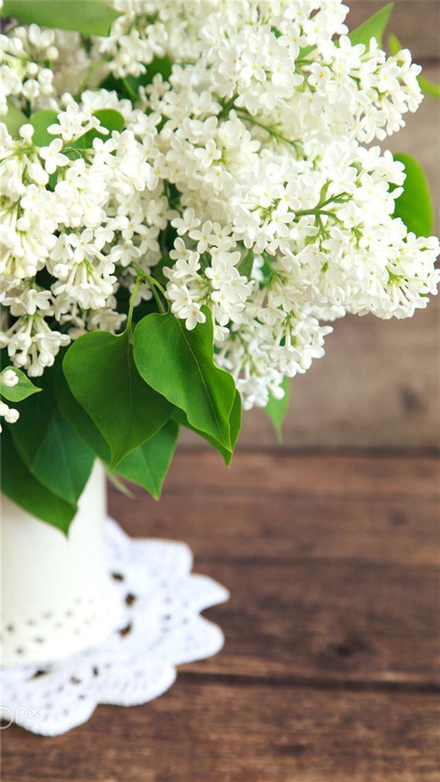 1080x1920 Pure White Flowers Plant Vase - flowers iPhone 8 Wallpaper