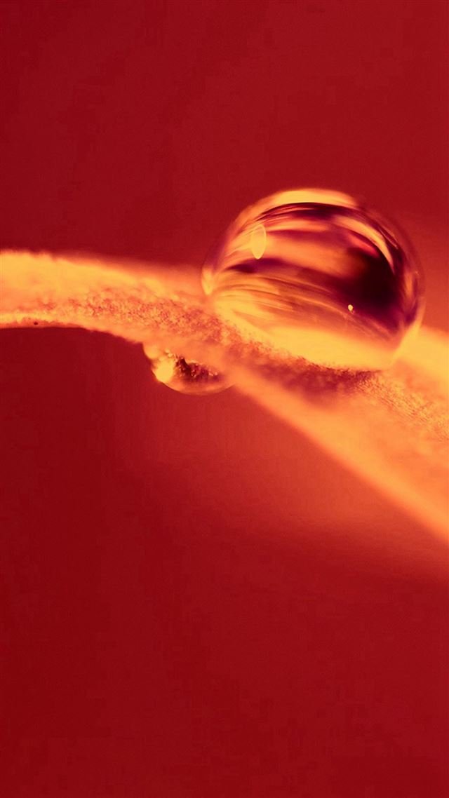 1080x1920 Hot Fire Leaf Red Nature Droplet - close up iPhone 8 Wallpaper
