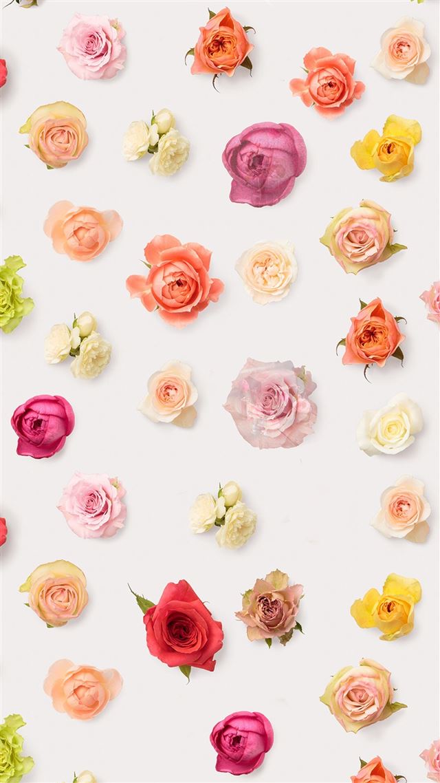1080x1920 Abstract Colorful Flower Floral Pattern Background - background iPhone 8 Wallpaper