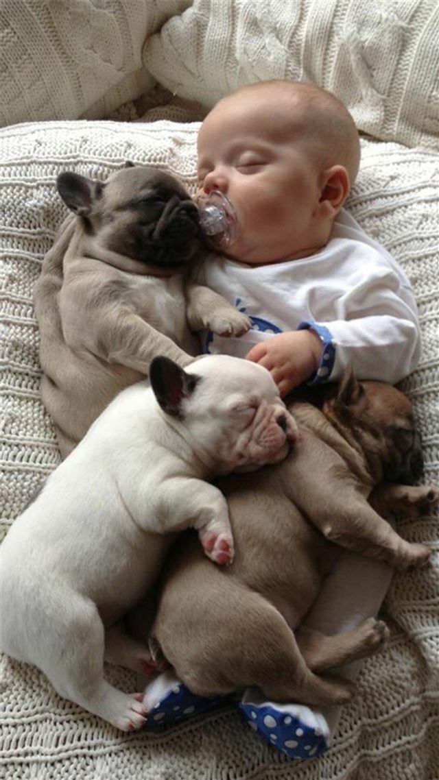 1080x1920 Infant Baby Dog Sleeping Cute Lovely - lovely iPhone 8 Wallpaper