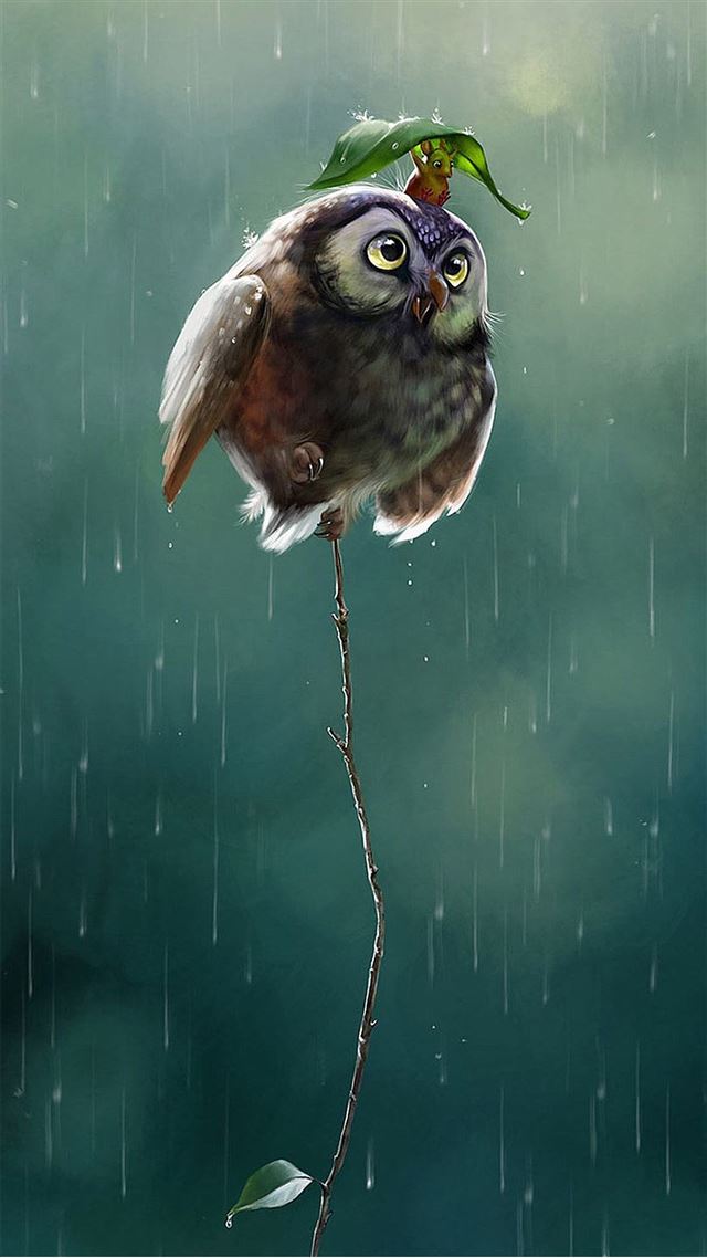 1080x1920 Cute Owl Flying High Rainy Day Covering Leaf - cute iPhone 8 Wallpaper