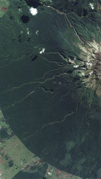 Earthview New Zealand Green Illustration Art iPhone 6(s)~8(s) wallpaper