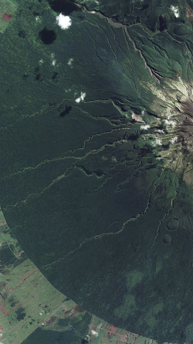 1080x1920 Earthview New Zealand Green Illustration Art - fifa world cup iPhone 8 Wallpaper