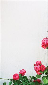 White Wall Climbing Flowers Rattan wallpaper