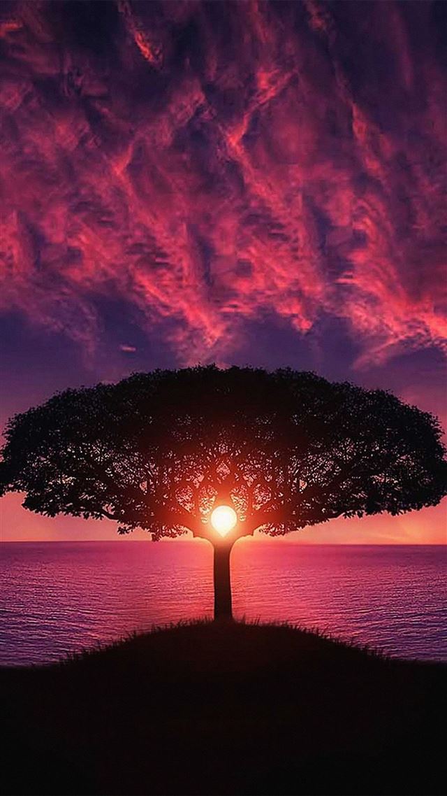1080x1920 Sea Tree Purple Sky Nature - sun iPhone 8 Wallpaper