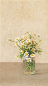 Pure Simple Daisy Flower Water Glass Vase wallpaper