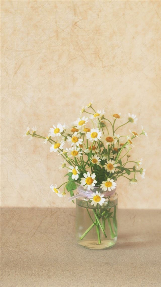 1080x1920 Pure Simple Daisy Flower Water Glass Vase - water iPhone 8 Wallpaper
