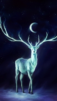 Deer Horns Moon Stars wallpaper