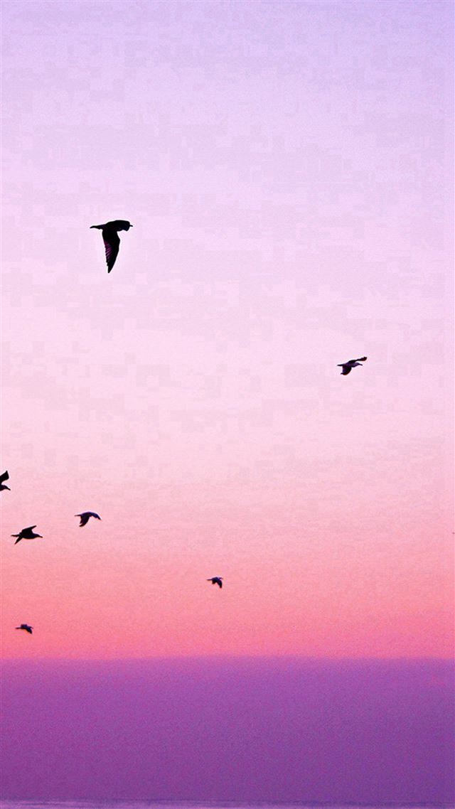 1080x1920 Sky Bird Pink Red Sunset Nature - yellow iPhone 8 Wallpaper