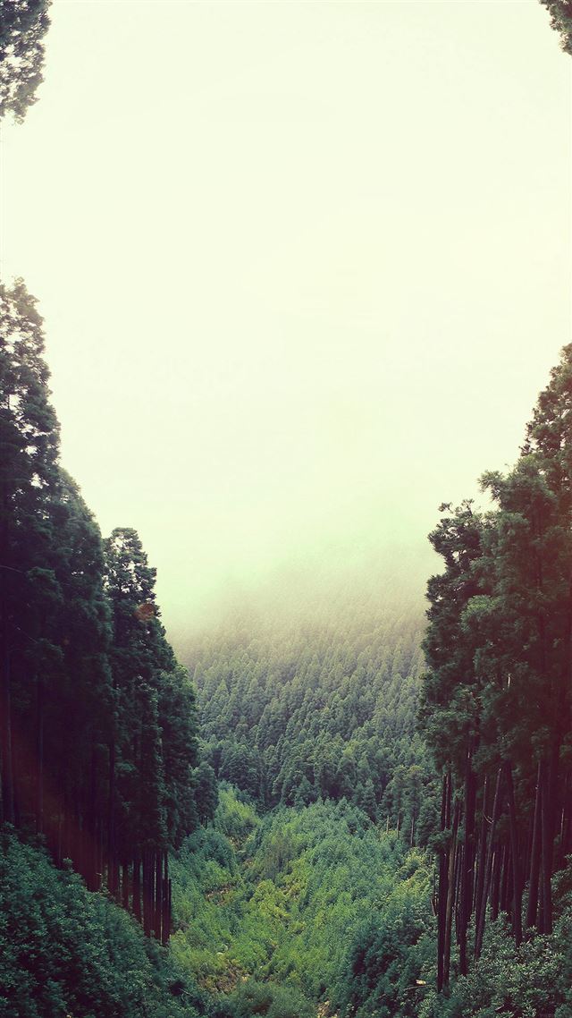1080x1920 Mountain Mirror Green Wood Nature Flare - woods iPhone 8 Wallpaper