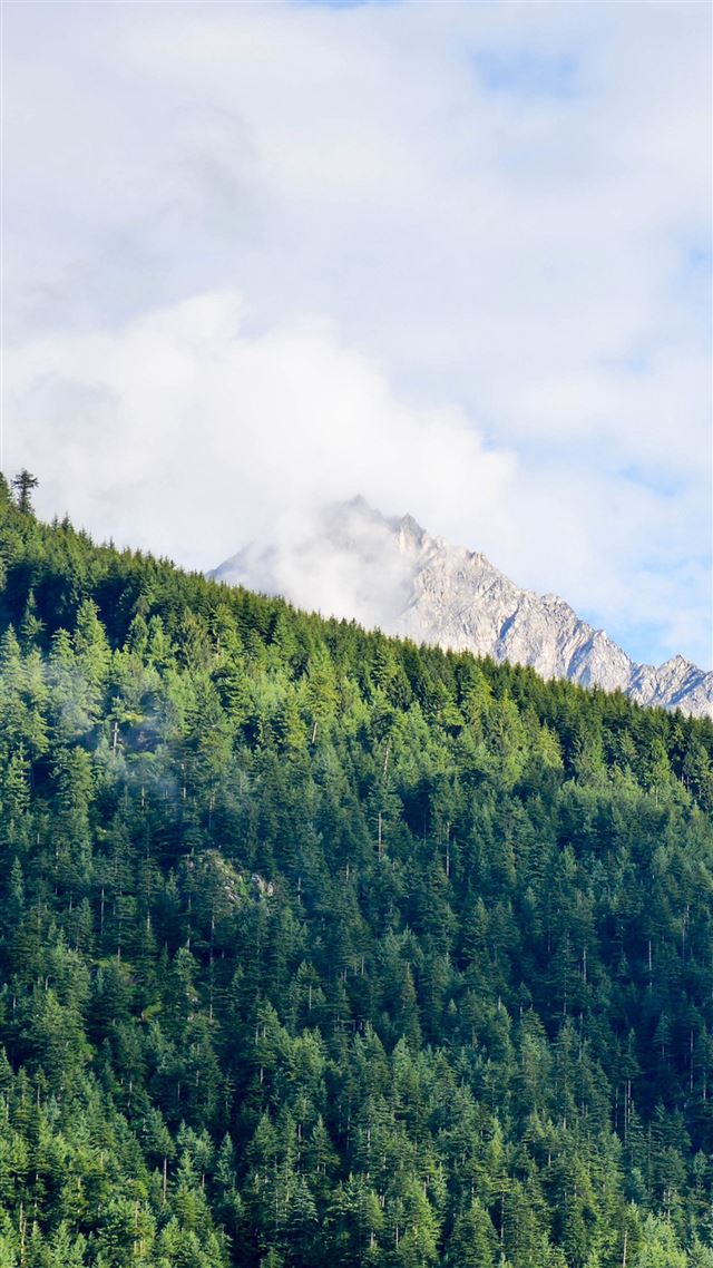 1080x1920 Nature Mountain Green Sunny Summer - sunny iPhone 8 Wallpaper