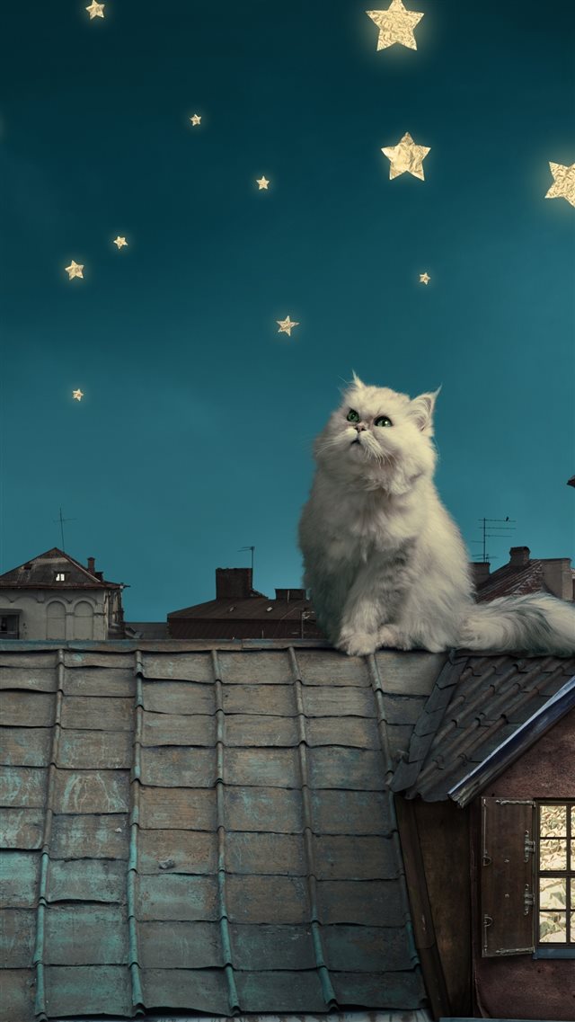 1080x1920 White Persian Cat Kitten Fairy Tale Fantasy Roofs Houses Sky Night Stars Moon - night iPhone 8 Wallpaper