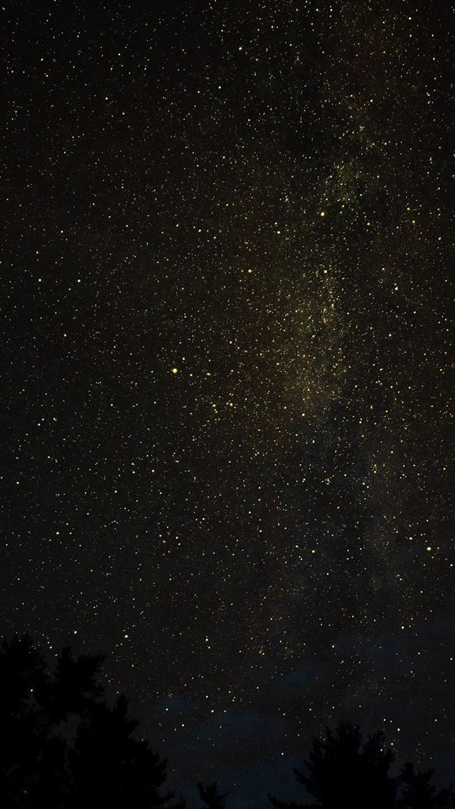 1080x1920 Night Sky Milkyway Tree Wood Nature Gold - starry iPhone 8 Wallpaper