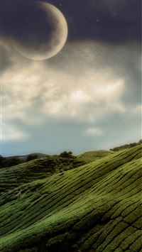 Best Hill iPhone 8 HD Wallpapers - iLikeWallpaper