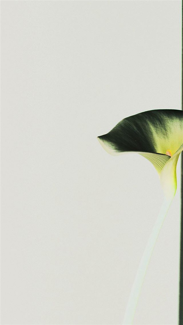 1080x1920 Lily Flower Minimal Simple Green Nature Inverted - yellow iPhone 8 Wallpaper