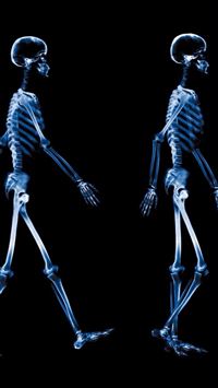 Abstract Xray Walking Human Skeleton Dark wallpaper