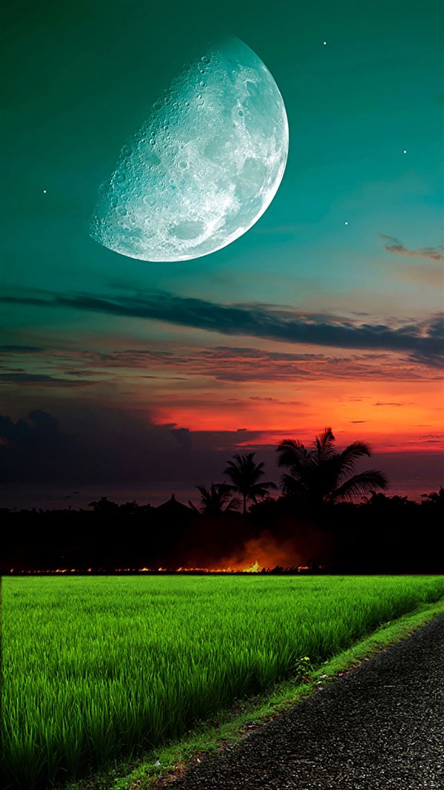 1080x1920 Moon And Sky Grass - grass iPhone 8 Wallpaper