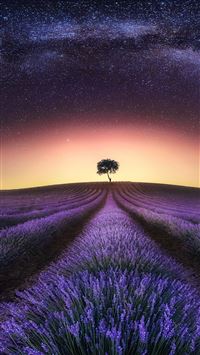 Best Lavender iPhone 8 HD Wallpapers - iLikeWallpaper