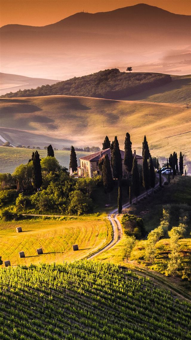 1080x1920 Pastoral Pasture Scenery View - yellow iPhone 8 Wallpaper