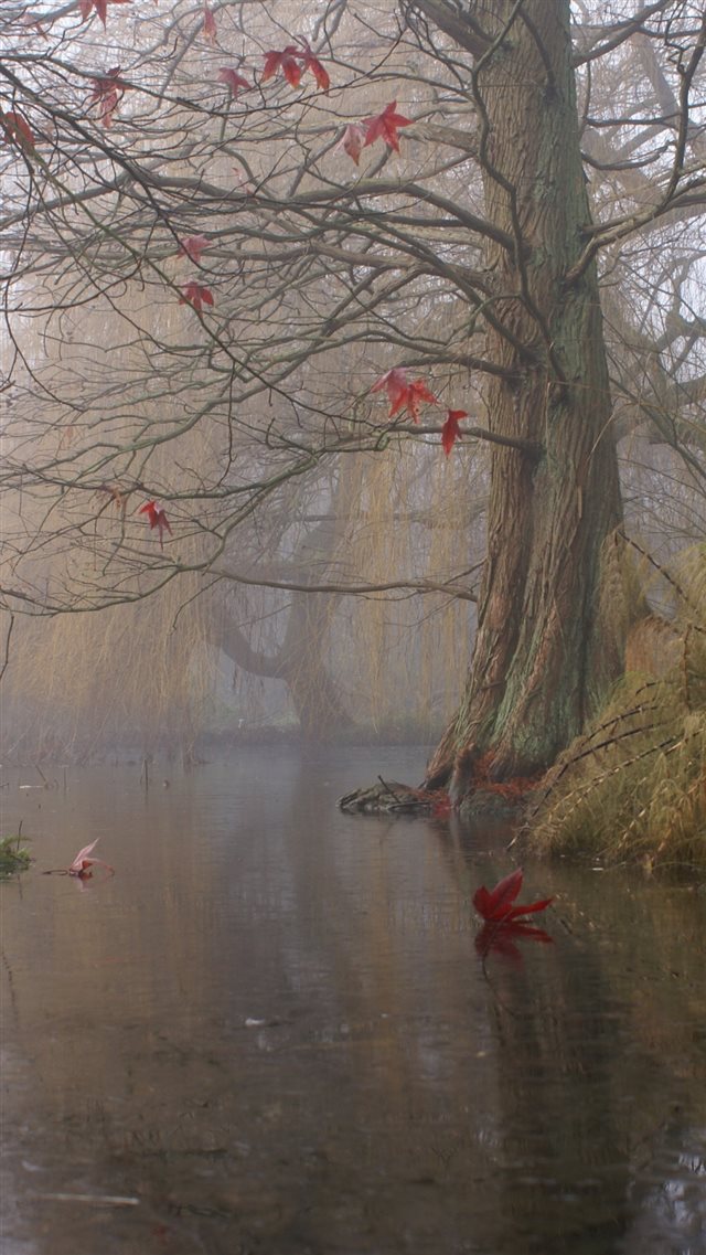 1080x1920 Painting Art Trees Lake Leaves Shrubs Fog - painting iPhone 8 Wallpaper