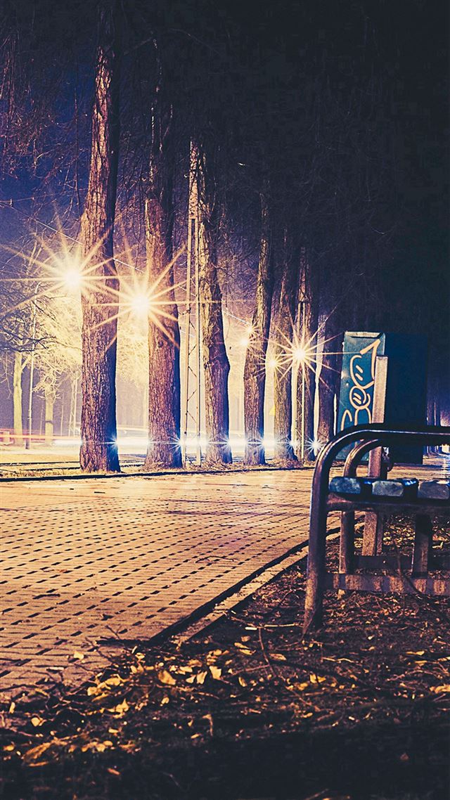 1080x1920 Street Night Bench Nature Dark - night iPhone 8 Wallpaper