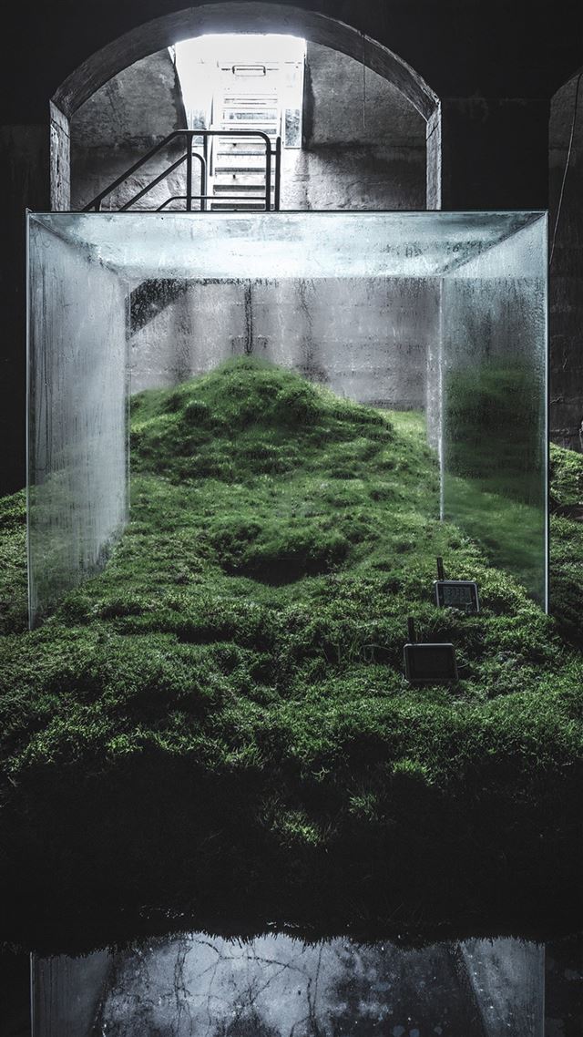 1080x1920 Home Nature Green Iillustration Art - trees iPhone 8 Wallpaper