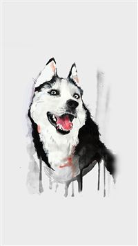 Happy Dog White Husky Animal Iillust Watercolor wallpaper