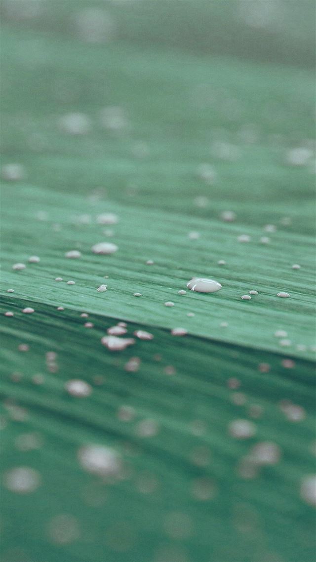 1080x1920 Drops Of Milk On Floor Pattern Nature Green - floor iPhone 8 Wallpaper