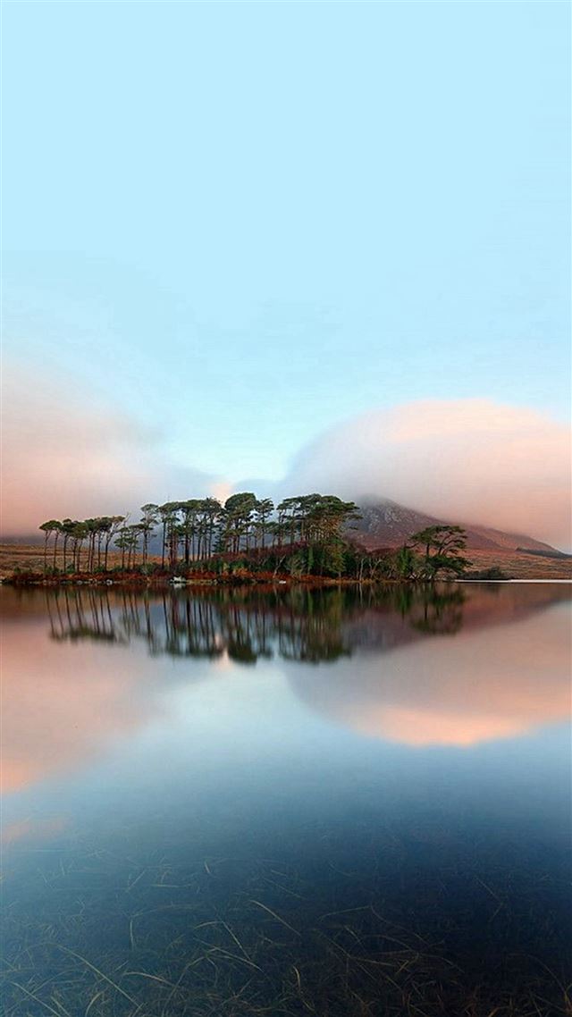 1080x1920 Beautiful Tall Trees Lake Reflection - tall iPhone 8 Wallpaper