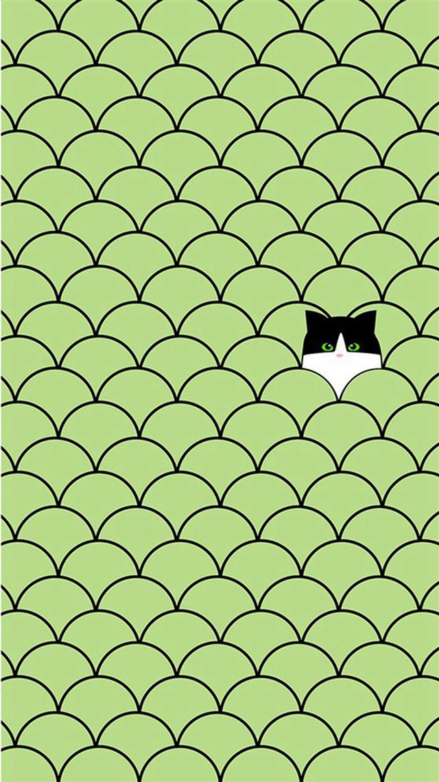 1080x1920 Funny Cat Circles Pattern - cute iPhone 8 Wallpaper