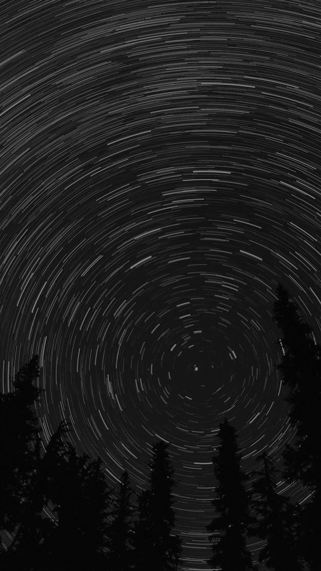 1080x1920 Star Trail Green Tree Space Night Dark Nature - meteor iPhone 8 Wallpaper