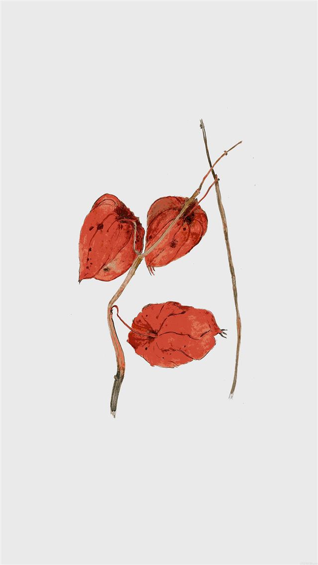 1080x1920 Twig Illust Art Flower Drawing - simple iPhone 8 Wallpaper