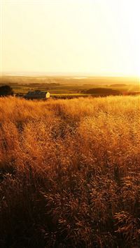 The Gladiator Farm Nature wallpaper