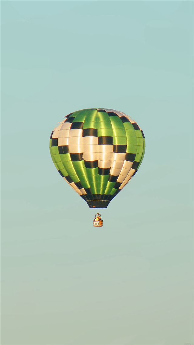 1080x1920 Fly Home Green Air Balloon - home iPhone 8 Wallpaper