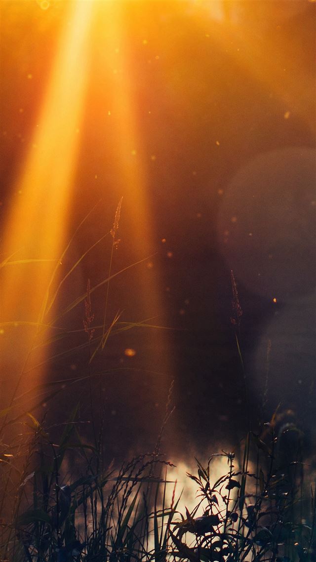 1080x1920 God Light Loves You Nature Flower Lake Flare - orange iPhone 8 Wallpaper