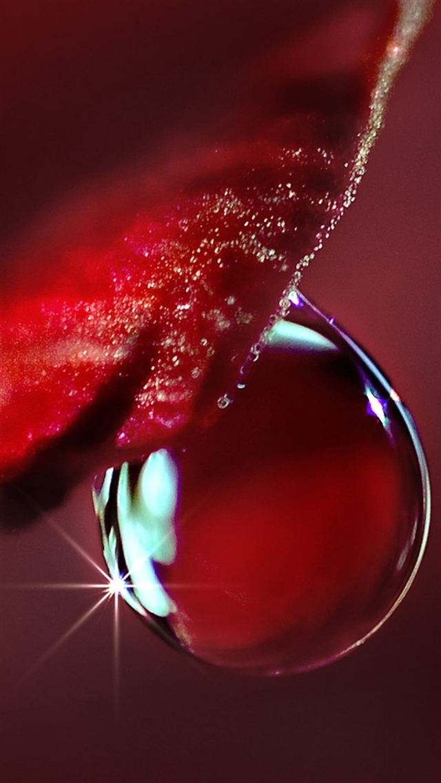 1080x1920 Flower red droplet water - macro iPhone 8 Wallpaper