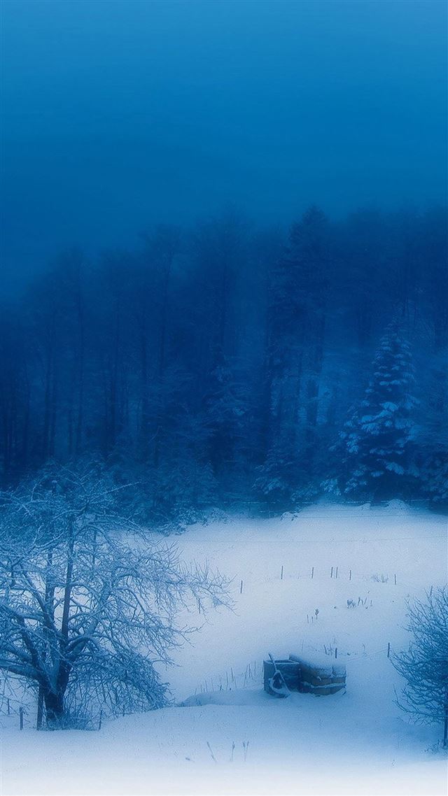 1080x1920 Snow mountain tree - tree iPhone 8 Wallpaper