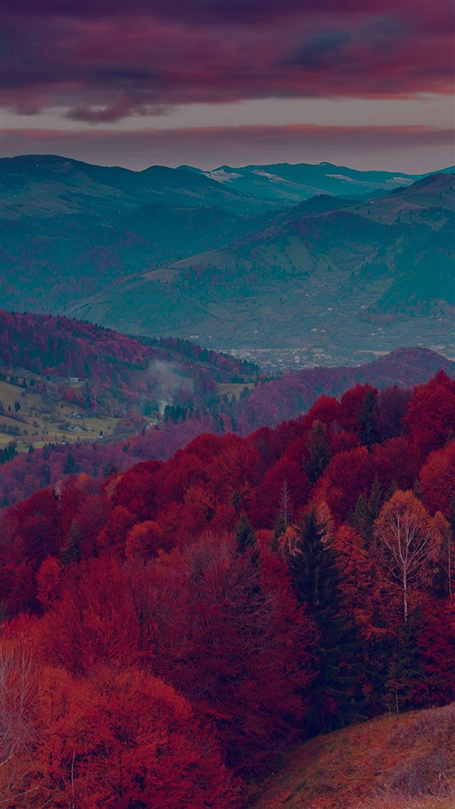 1080x1920 Fall mountain fun red tree - gray iPhone 8 Wallpaper